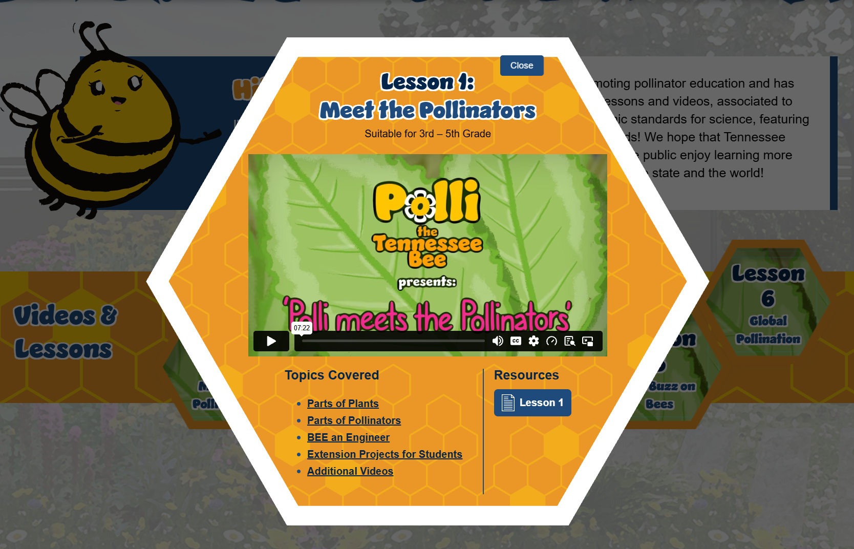 Polli_Video_Choice
