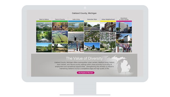 The Value of Diversity: Lifestyle Living Environments and Context Sensitive Solutions